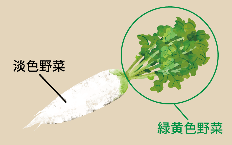 大根のイラスト