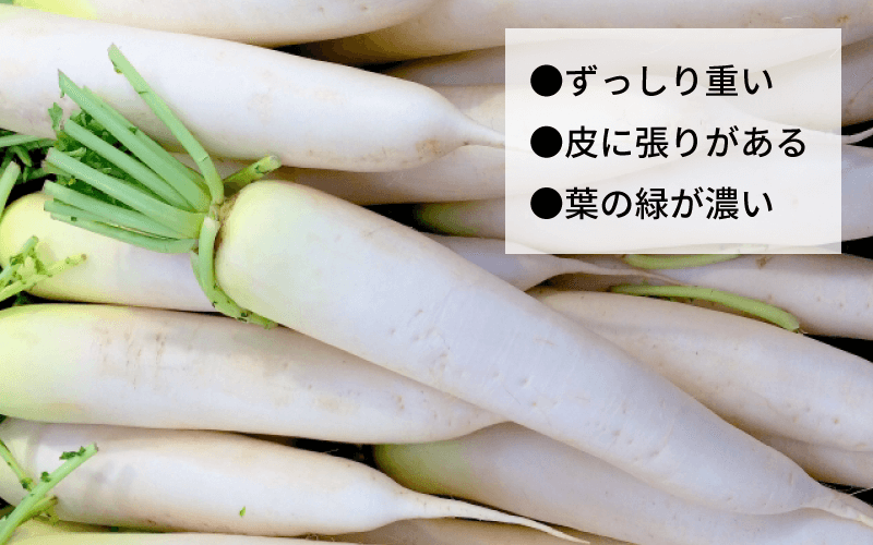 大根の選び方