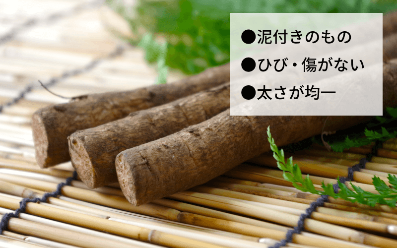 おいしいごぼうの選び方