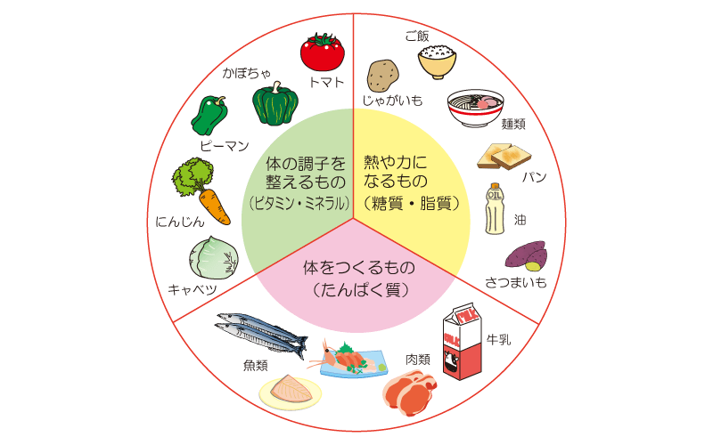 食品の栄養