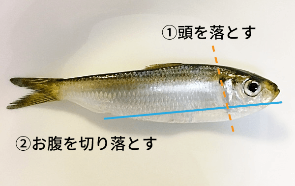 ままかりの酢漬け