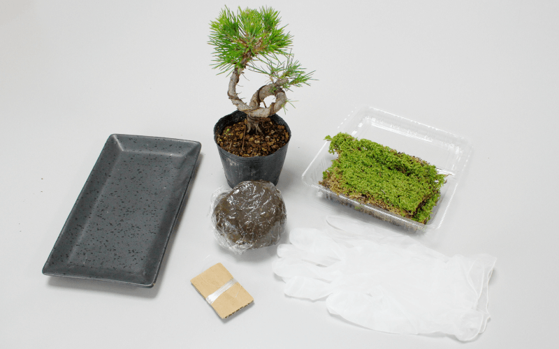苔玉の材料と道具