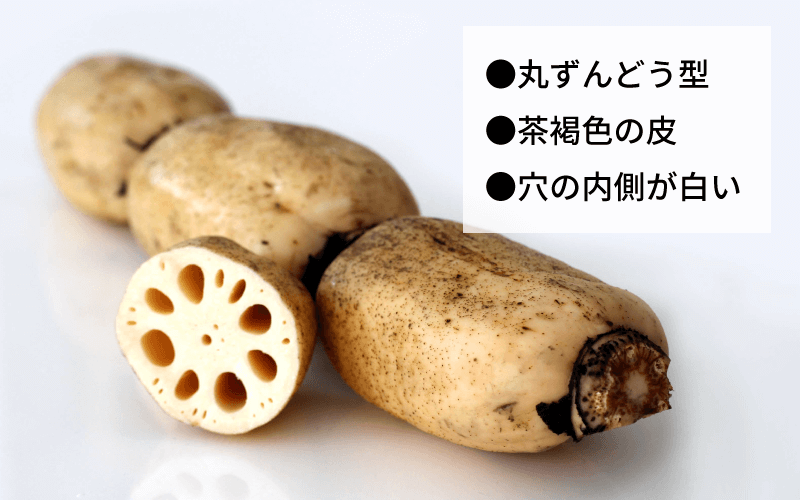 れんこんの選び方