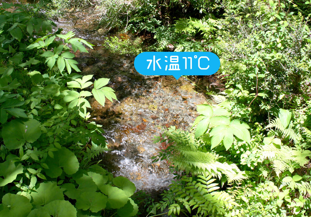 塩釜冷泉