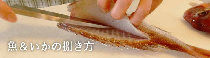 魚＆いかの捌き方