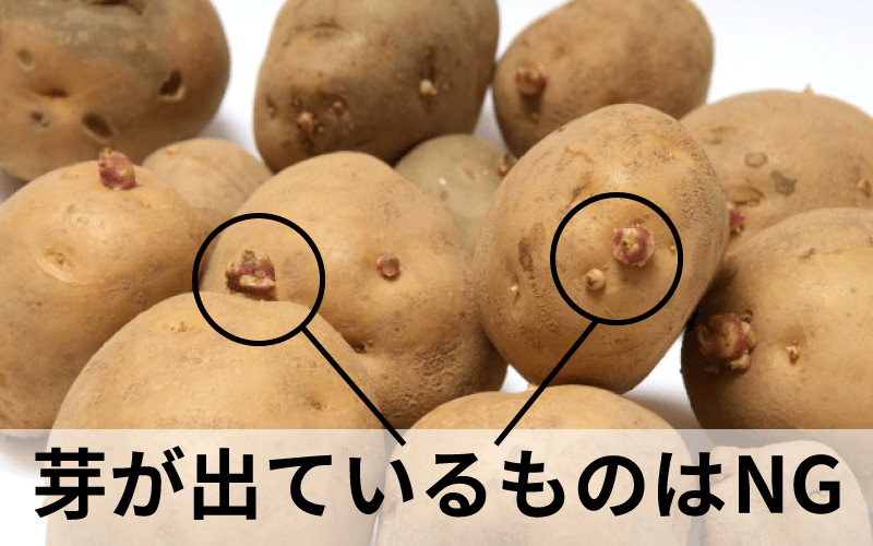 芽が出たジャガイモ