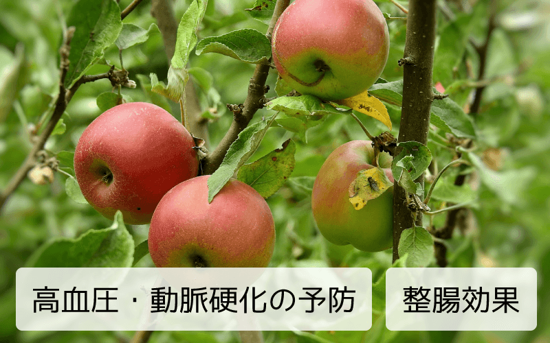 りんごのイメージ1
