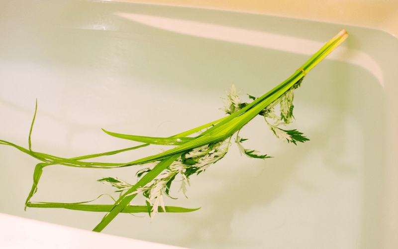 菖蒲湯