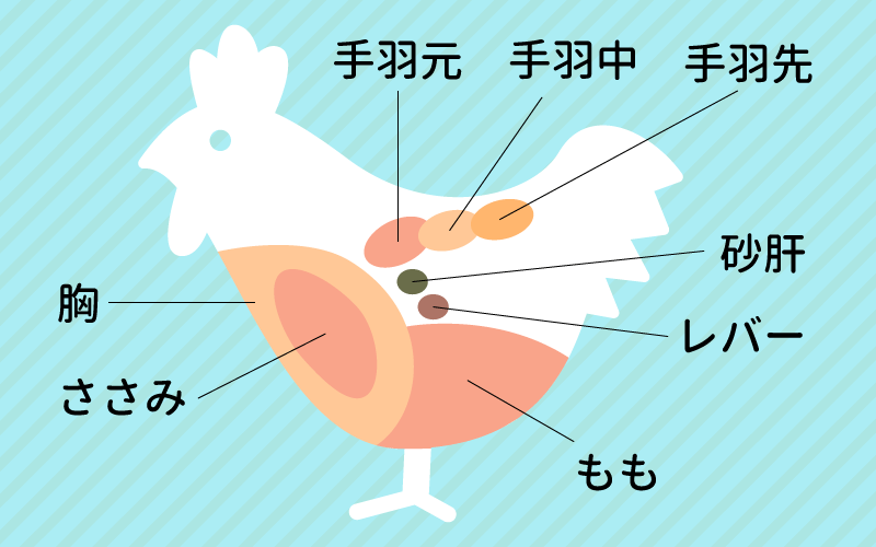 鶏肉の部位