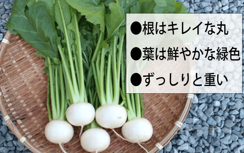 かぶの選び方