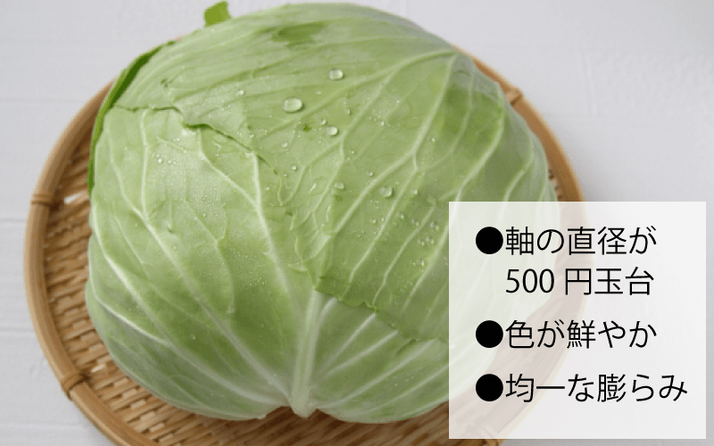 キャベツ