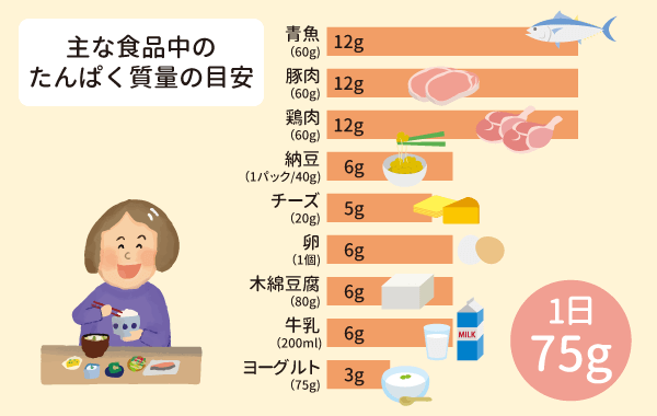 主な食品中のたんぱく質量の目安