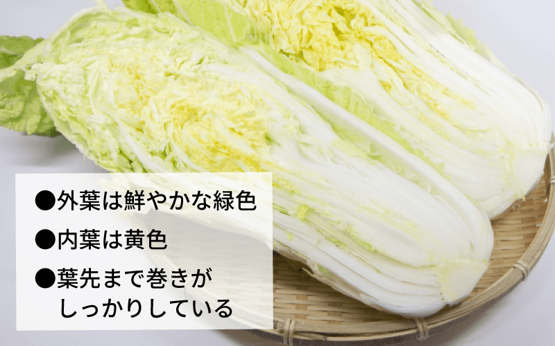 カットされた白菜
