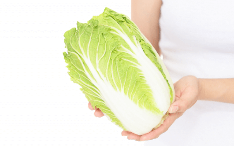 手に持たれた白菜